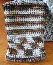 Tapestry Crochet Pouch